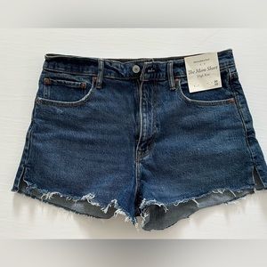 Abercrombie & Fitch The Mom Short High Rise - Size 30